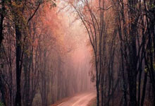 关于变更比赛场地的公告