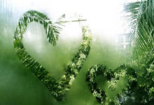 阿尔卡拉斯宣布与恩师费雷罗“分手”