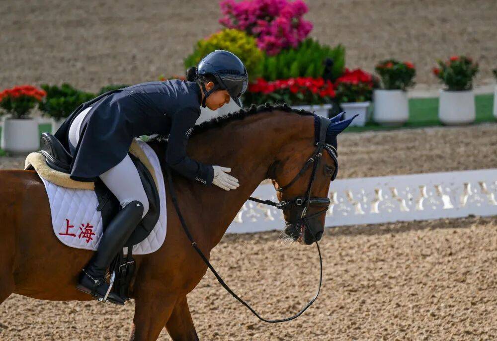 全运会马术比赛赢了，获奖马有奖牌么？