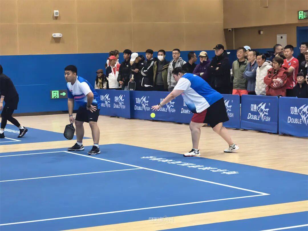 网球羽毛球乒乓球“三合一”｜这项网红运动首次在哈开展正式比赛