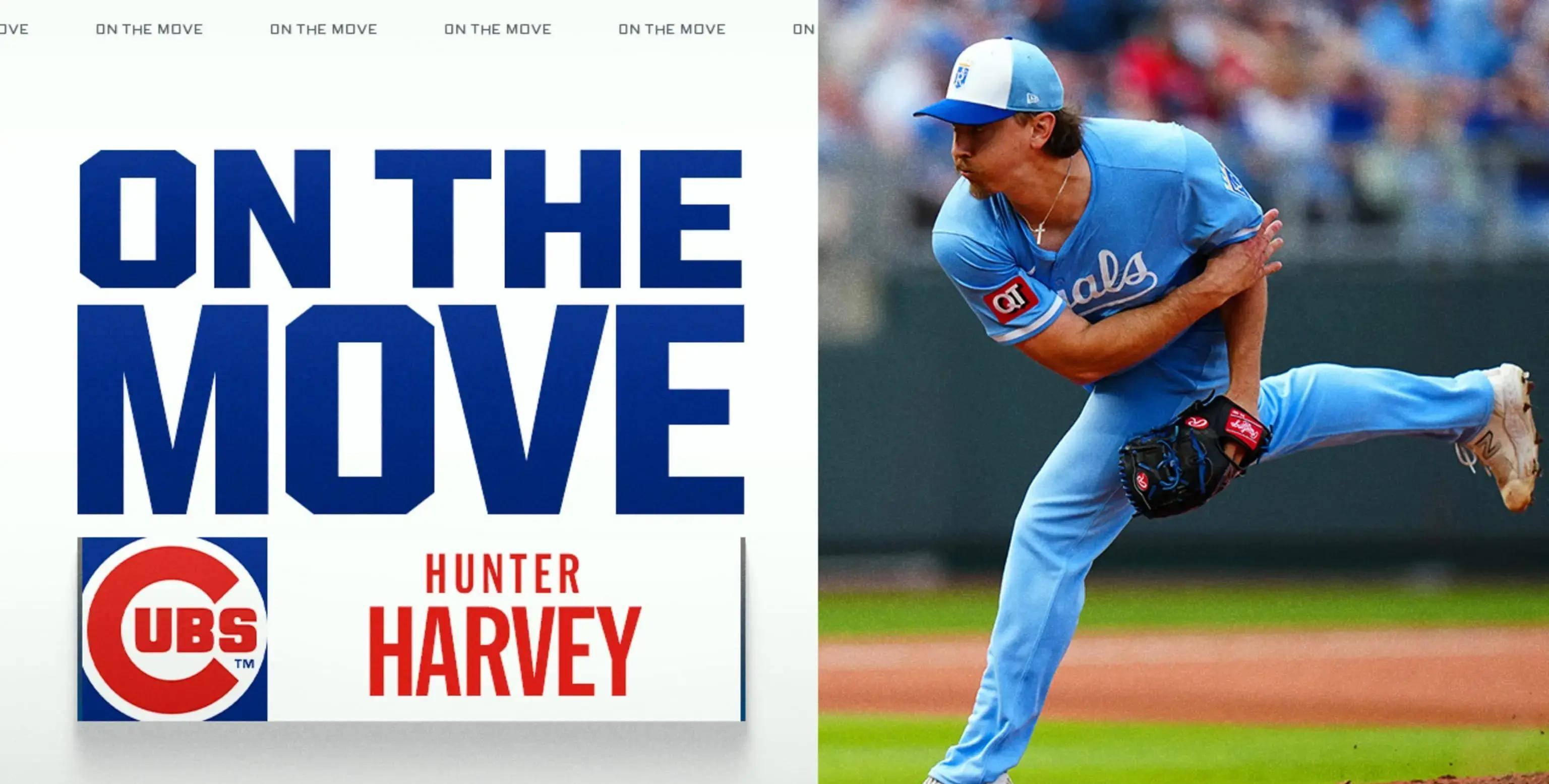 伤病难掩天赋！芝加哥小熊拟签哈维，重建牛棚能否提升竞争力？