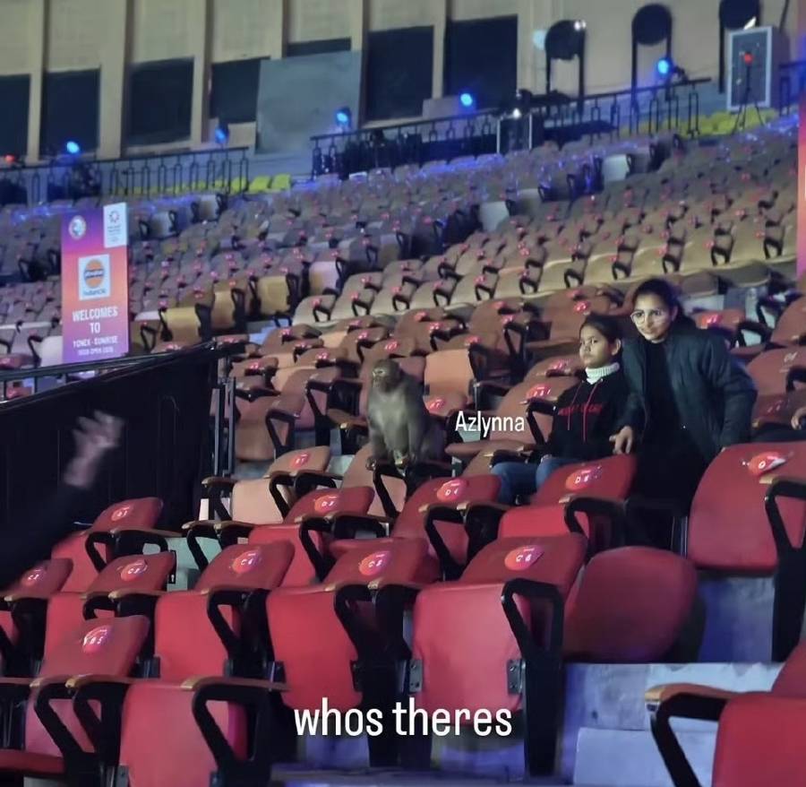 印度公开赛成闹剧:猴子坐上看台,鸟粪洒落赛场……印度真能办羽毛球世锦赛?